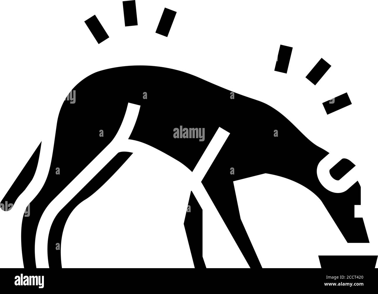 dog eating food glyph icon vector illustration Stock Vector Image & Art