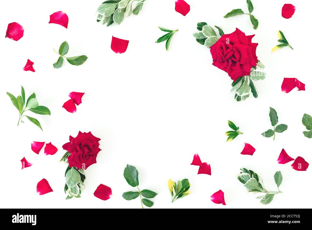 Flower frame of red roses flowers and green leaves on white background ...