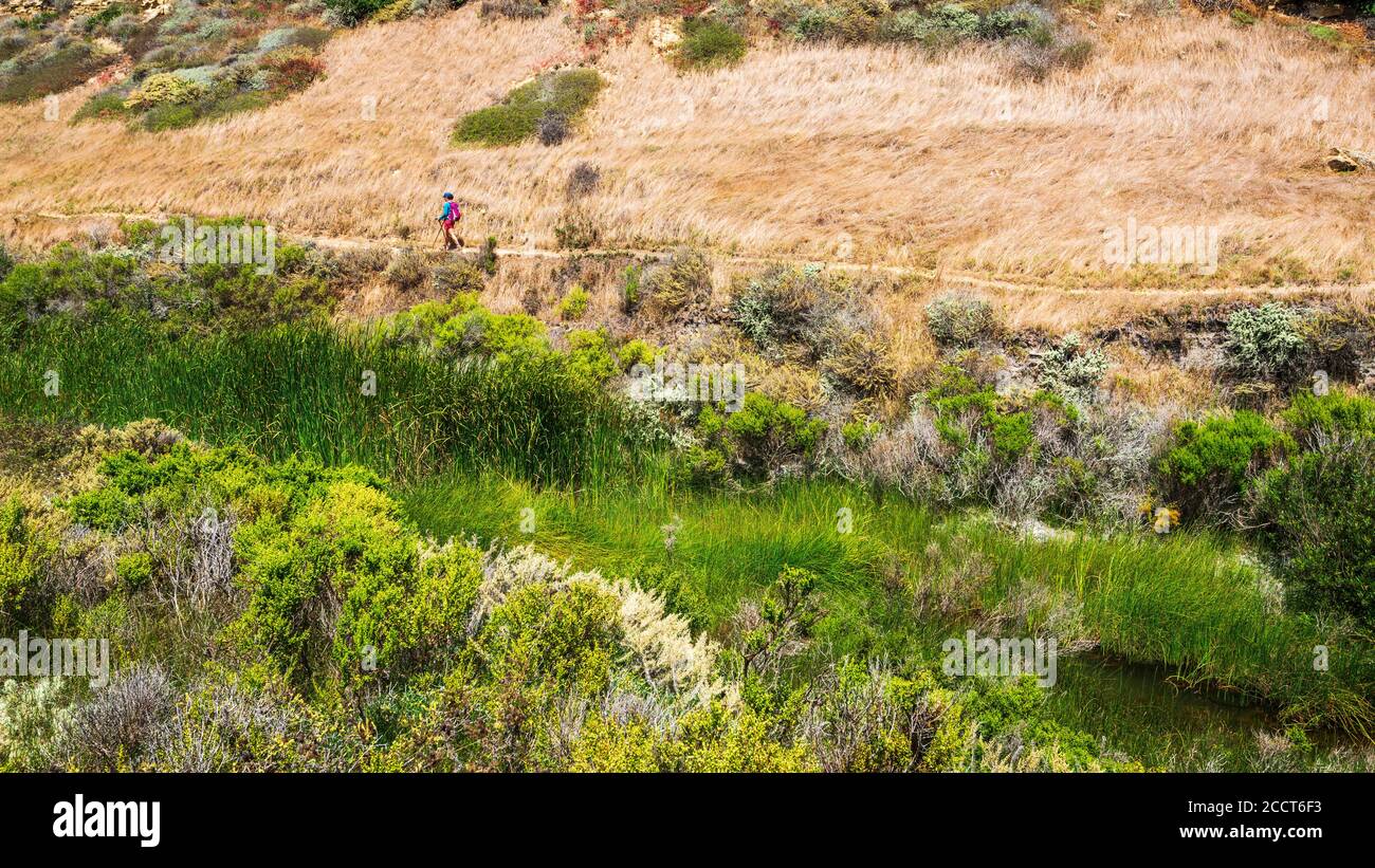 HIker in Lobo Canyon, Santa Rosa Island, Channel Islands National Park, California USA Stock Photo