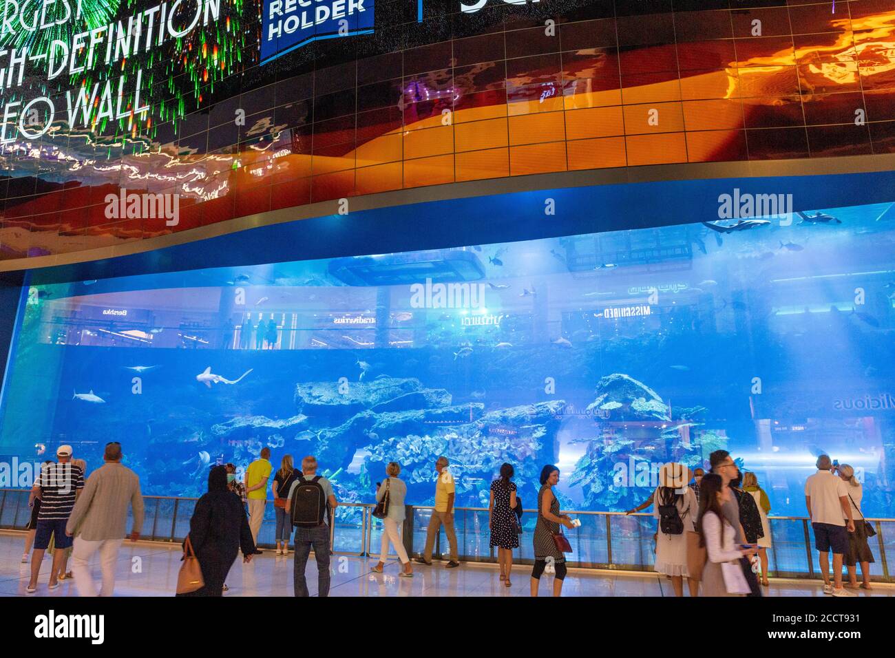 Dubai Aquarium, Dubai Mall, Dubai Stock Photo Alamy