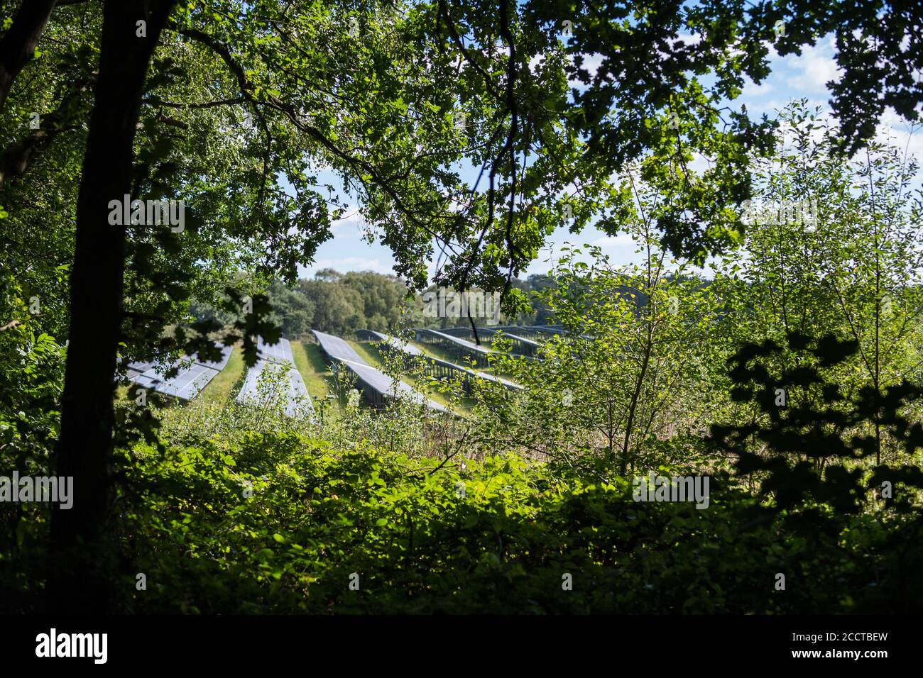 P.V. solar panels at a solar farm on the Welbeck Estate, Meden Vale, Nottinghamshire in a woodland. Stock Photo