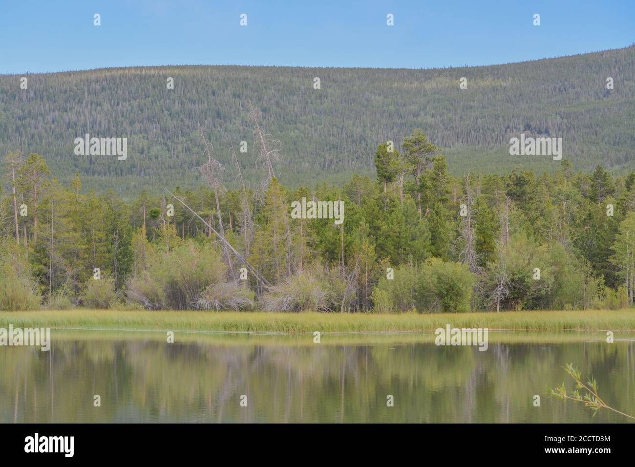 Beautiful mirrored view of Moose Pond in the Flaming National