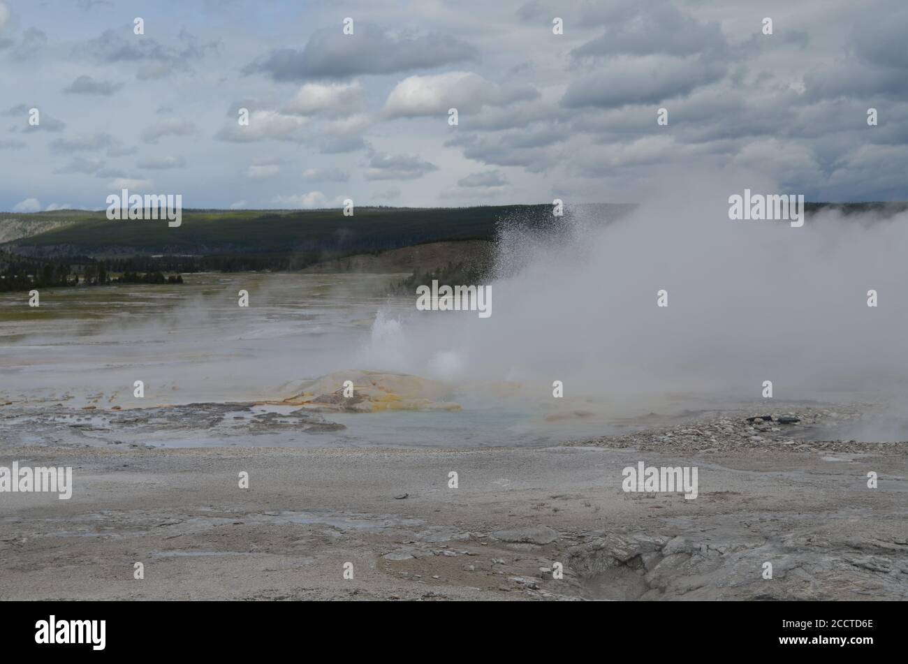 Late Spring in Yellowstone National Park: Clepsydra Geyser of the Fountain Group Spouts in Lower Geyser Basin Stock Photo