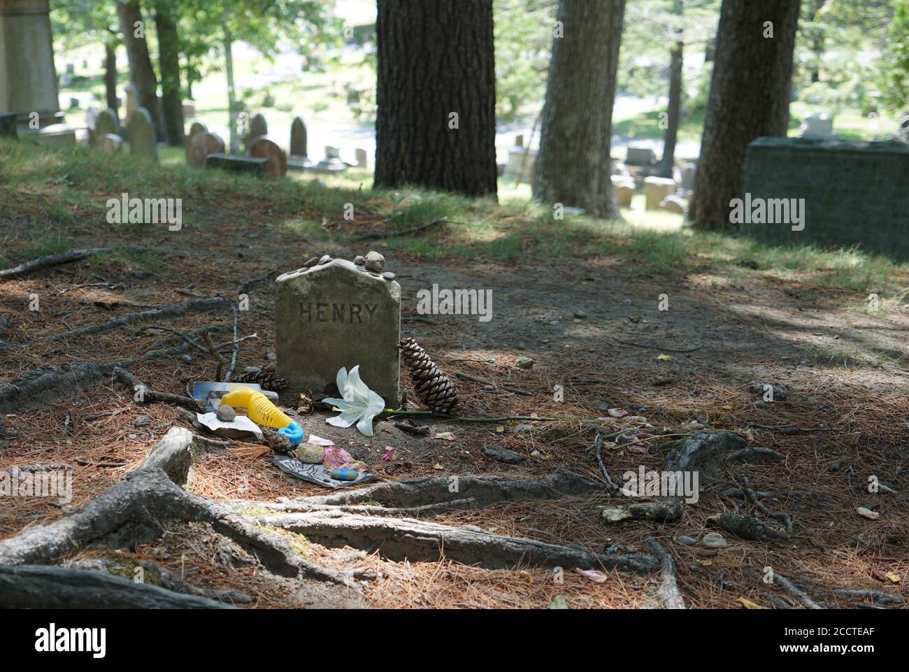 Tombstone for Henry David Thoreau in Sleepy Hollow cemetery in Concord Massachusetts. Stock Photo