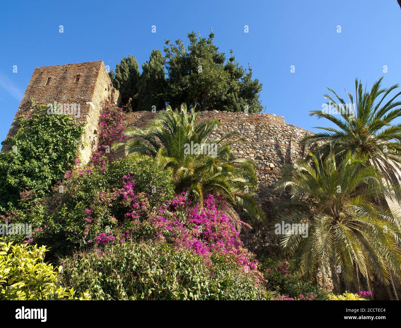 malaga at the spanish coast Stock Photo Alamy