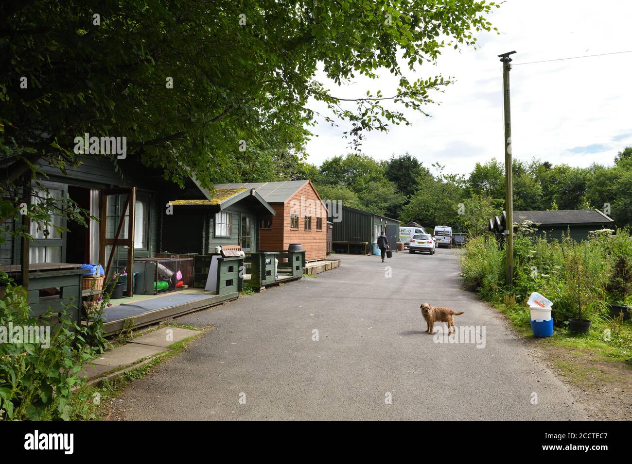 The Hessilhead wildlife rescue centre in Beith, North Ayrshire, Scotland. Stock Photo