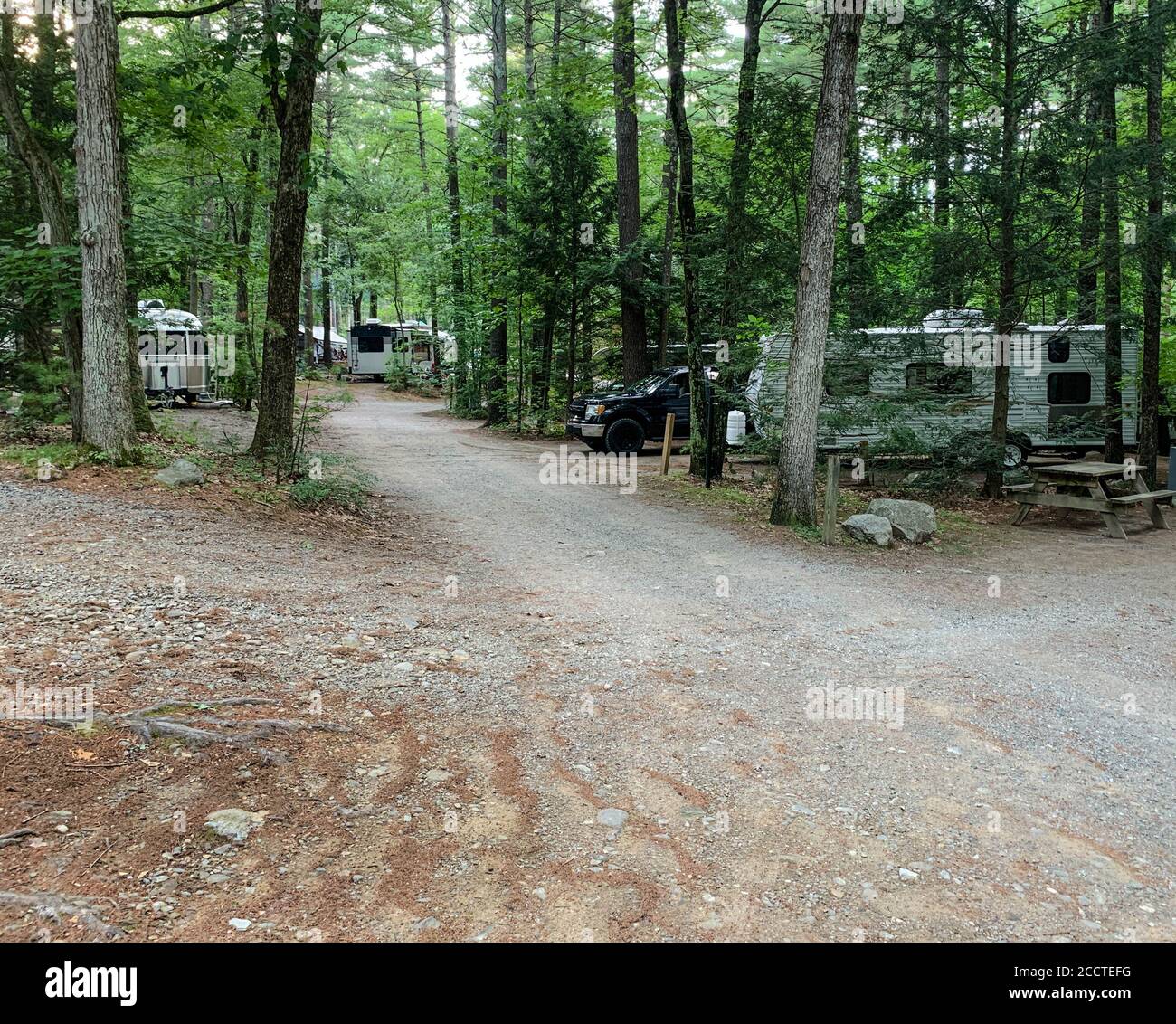 Recreational vehicles sit between trees in a shaded campground. Stock Photo