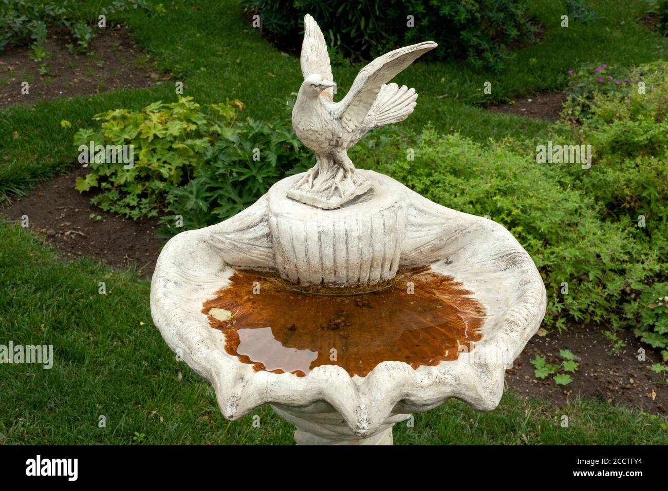 Ornamental tall cast stone concrete bird bath or birdbath and water fountain with pigeon figurine as garden decoration Stock Photo