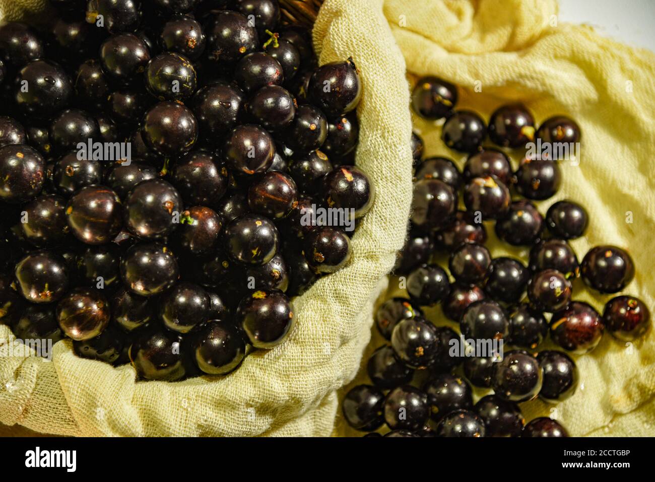 Jabuticaba is Brazilian fruit native to the Atlantic Forest. It has few calories and carbohydrates and is rich in nutrients like vitamin C, E, magnesi Stock Photo