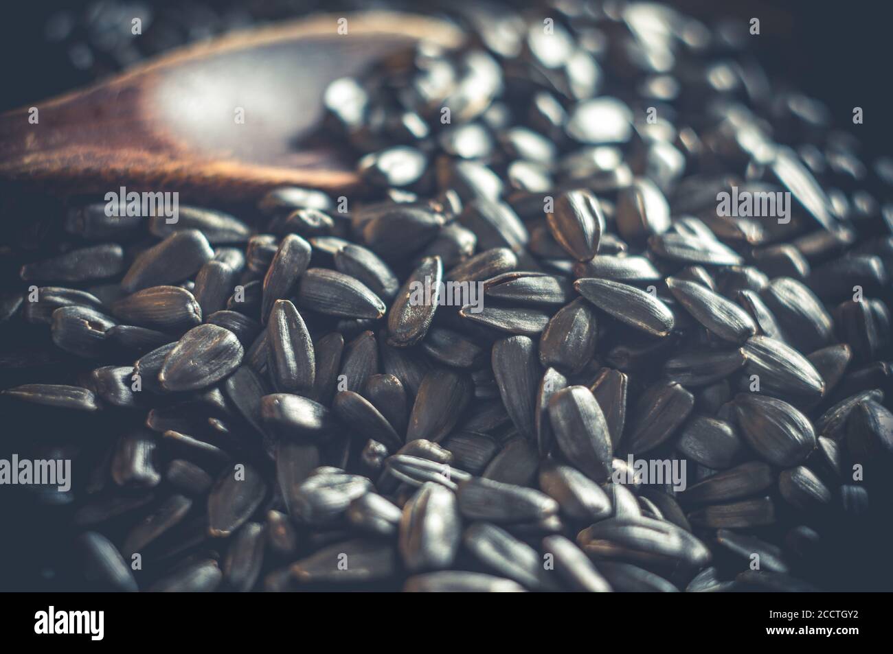 Fried sunflower black seeds with a wooden spoon in a pan, closeup