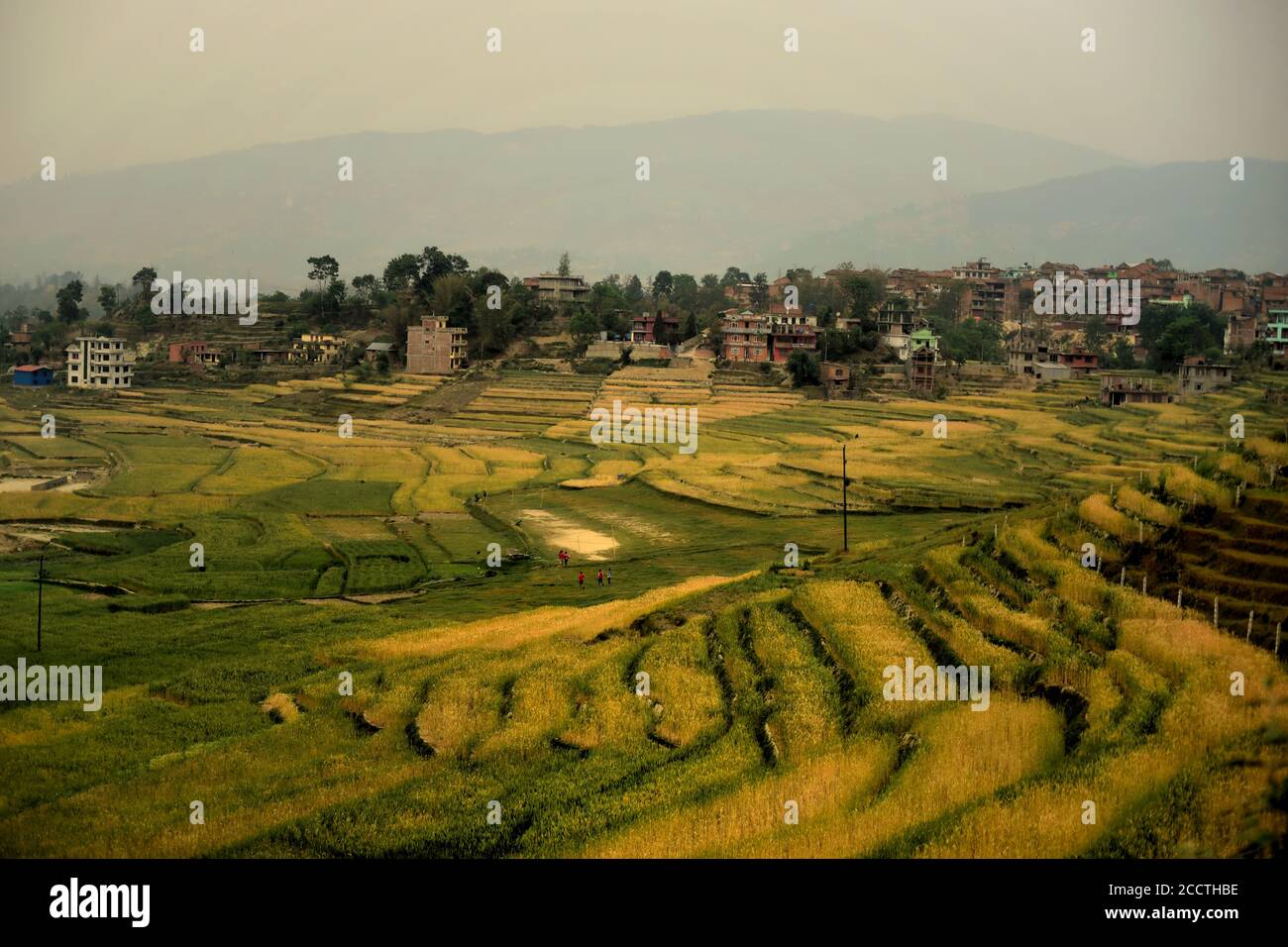 Agricultural terraces in Kathmandu Valley on the outskirts of Kathmandu, seen from a road leading to Dhulikhel, Bagmati Pradesh, Nepal. Stock Photo