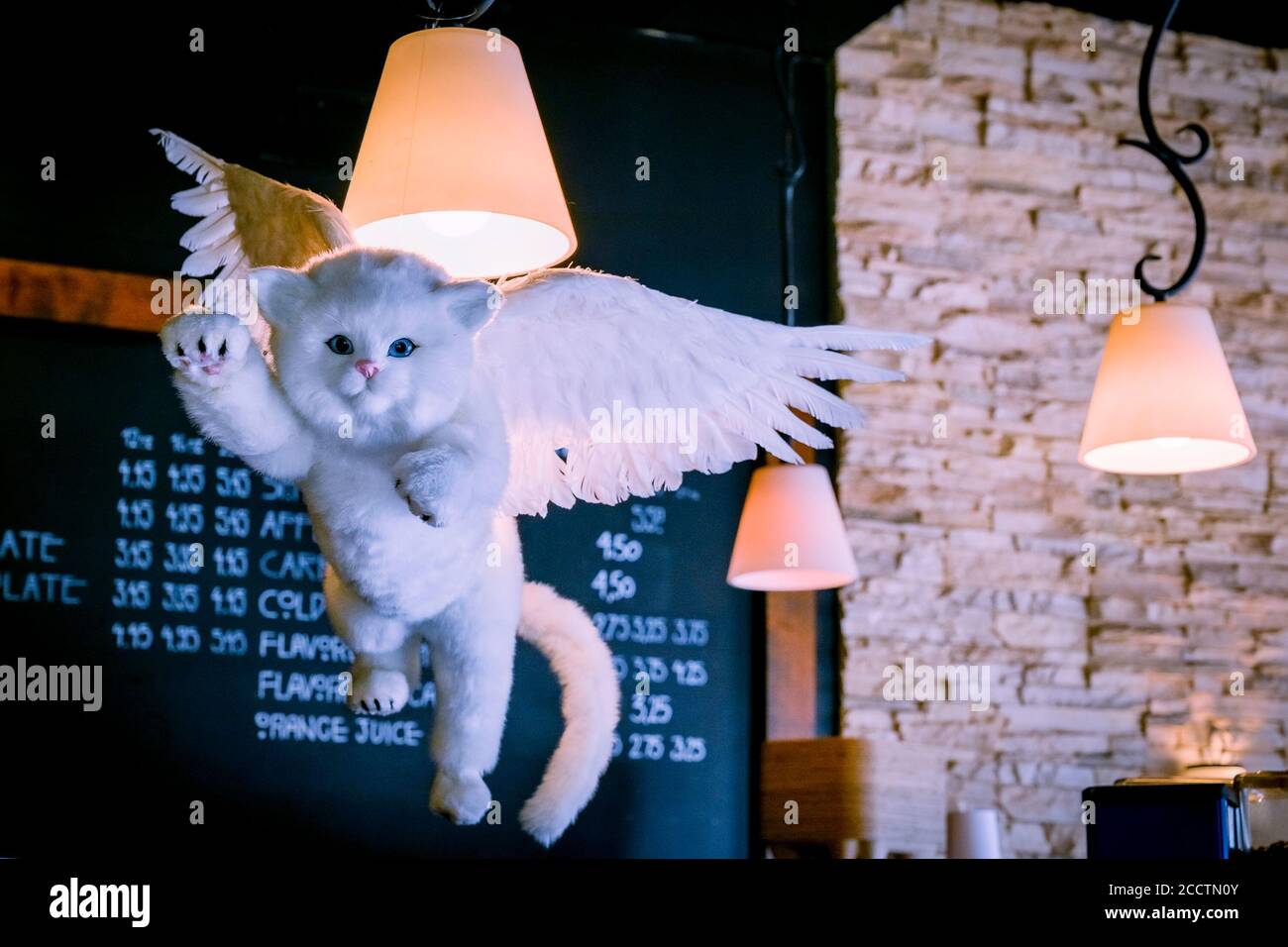Winged cat, Artistry Coffee House and Bistro, Kitsilano, Vancouver, British Columbia, Canada Stock Photo