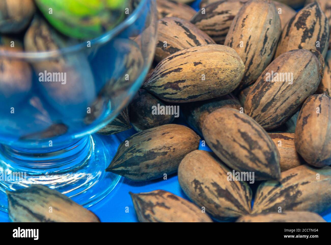 Pecan fruits (Carya illinoensis). American nuts. Pecan nuts, in particular, are an even more nutritious type than ordinary nuts, highlighting the aid Stock Photo
