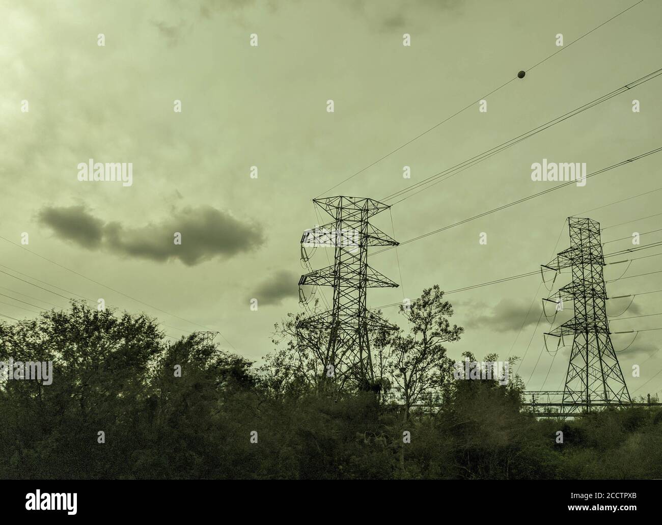 Transmission Lines in Brazil. Energy transition venture with a focus on