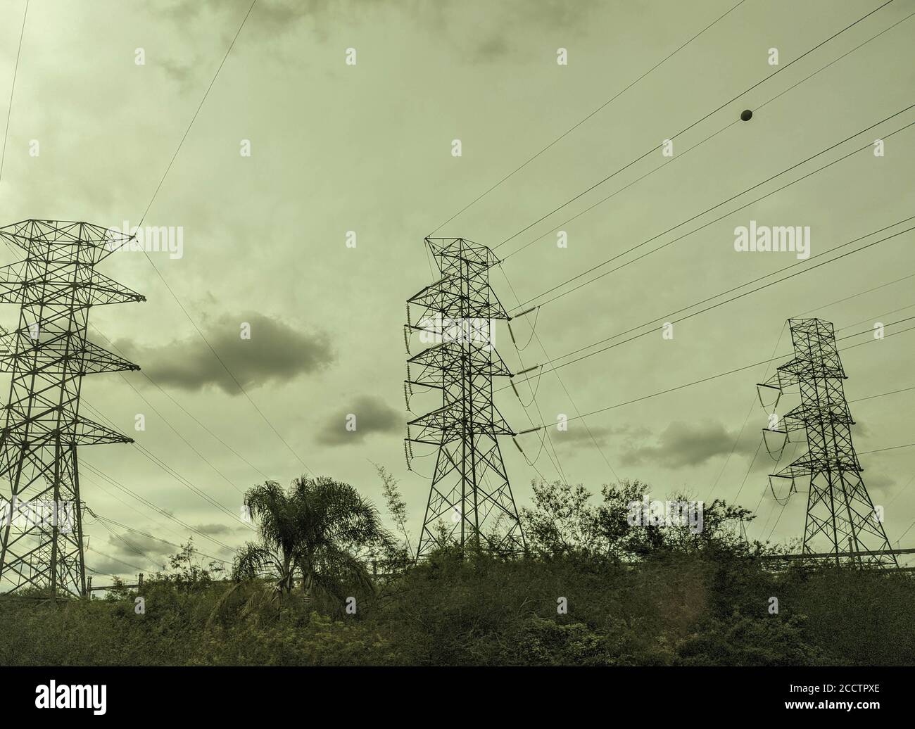 Transmission Lines in Brazil. Energy transition venture with a focus on