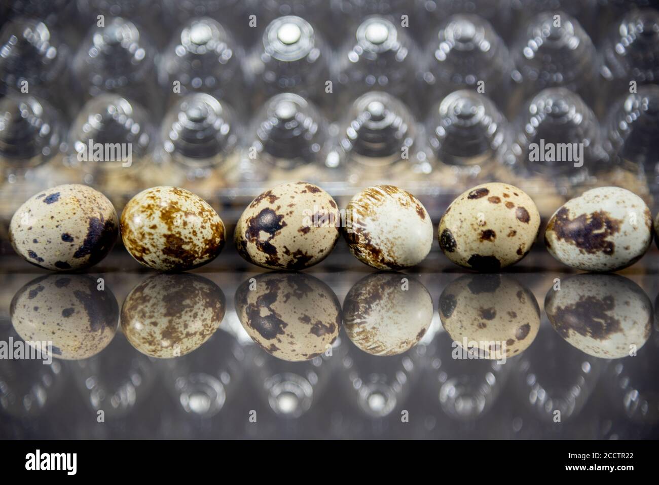 Eggs of the quail bird (Coturnix coturnix coturnix). Food source of