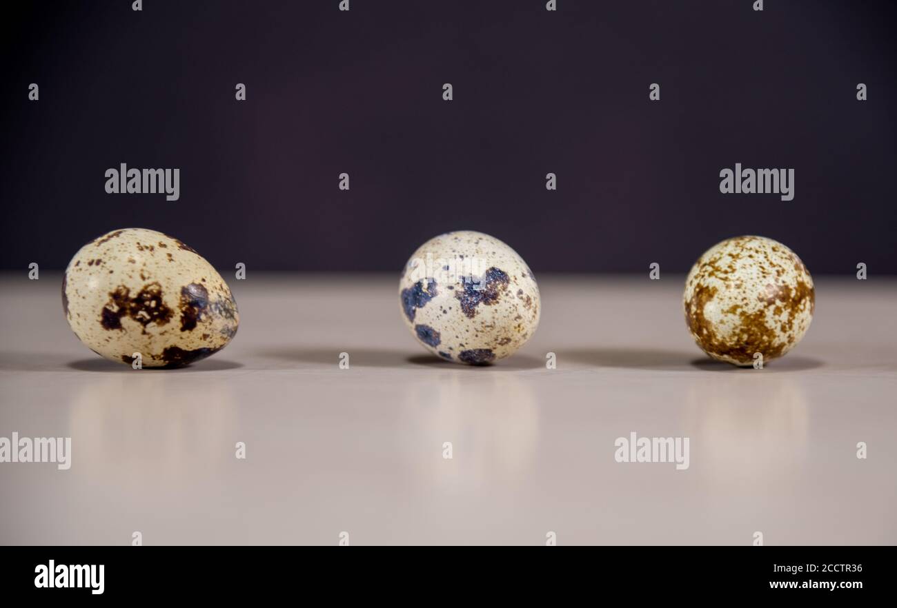 Eggs of the quail bird (Coturnix coturnix coturnix). Food source of Calcium, Phosphorus, Zinc