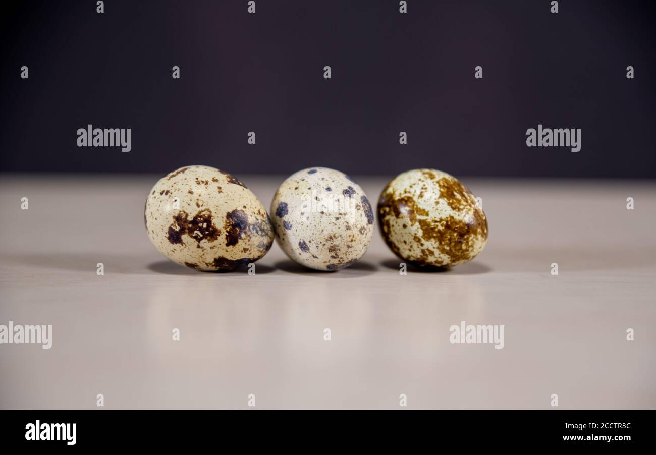 Coturnix quail box hi-res stock photography and images - Alamy