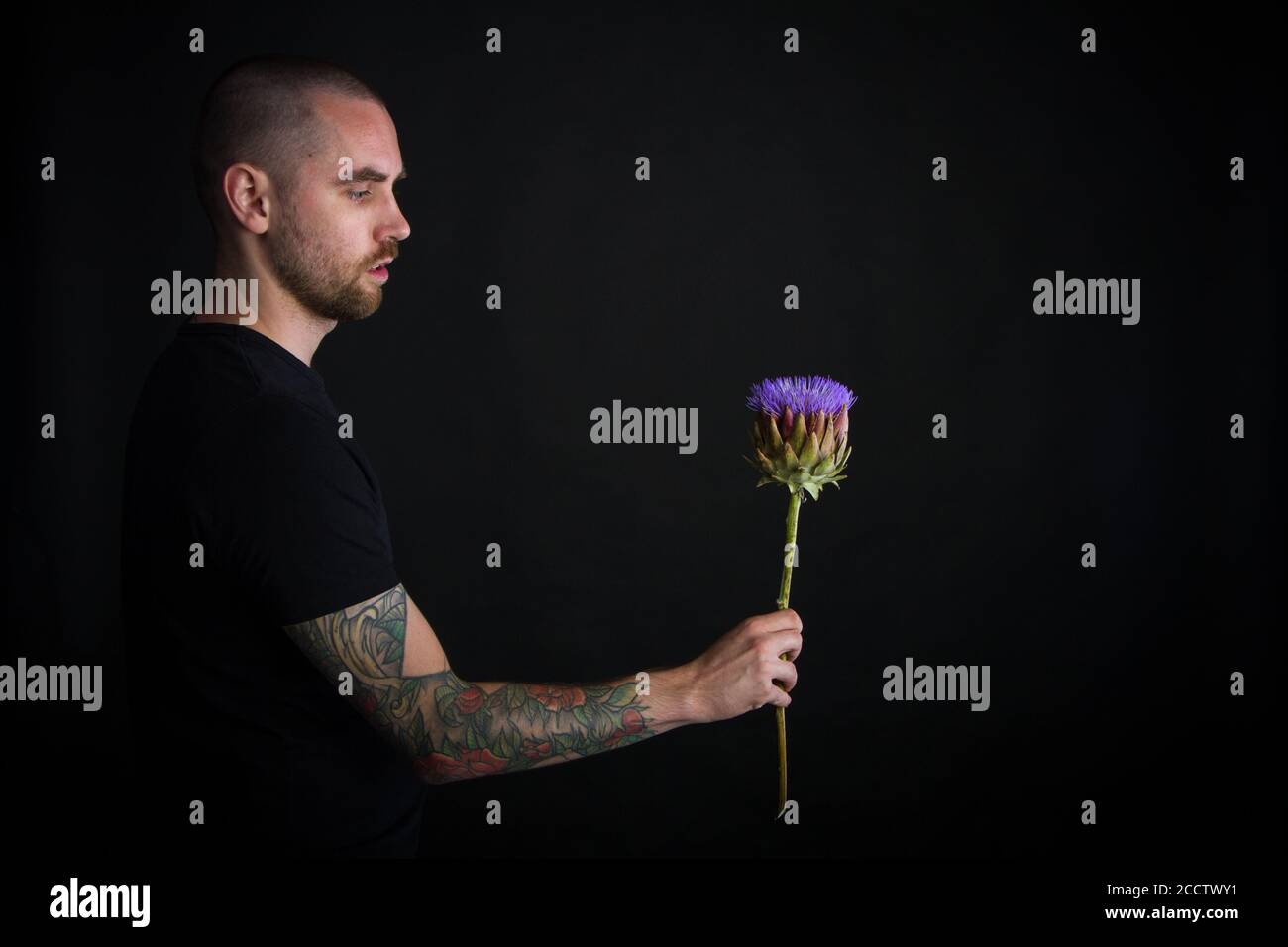 Portrait of young man holding purple artichoke flower on black background, greeting card or concept Stock Photo