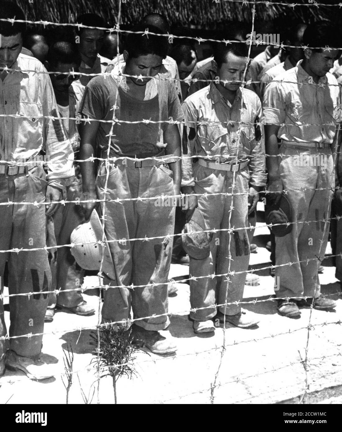 Japanese Pow Color Japanese pows hi-res stock photography and images - Alamy