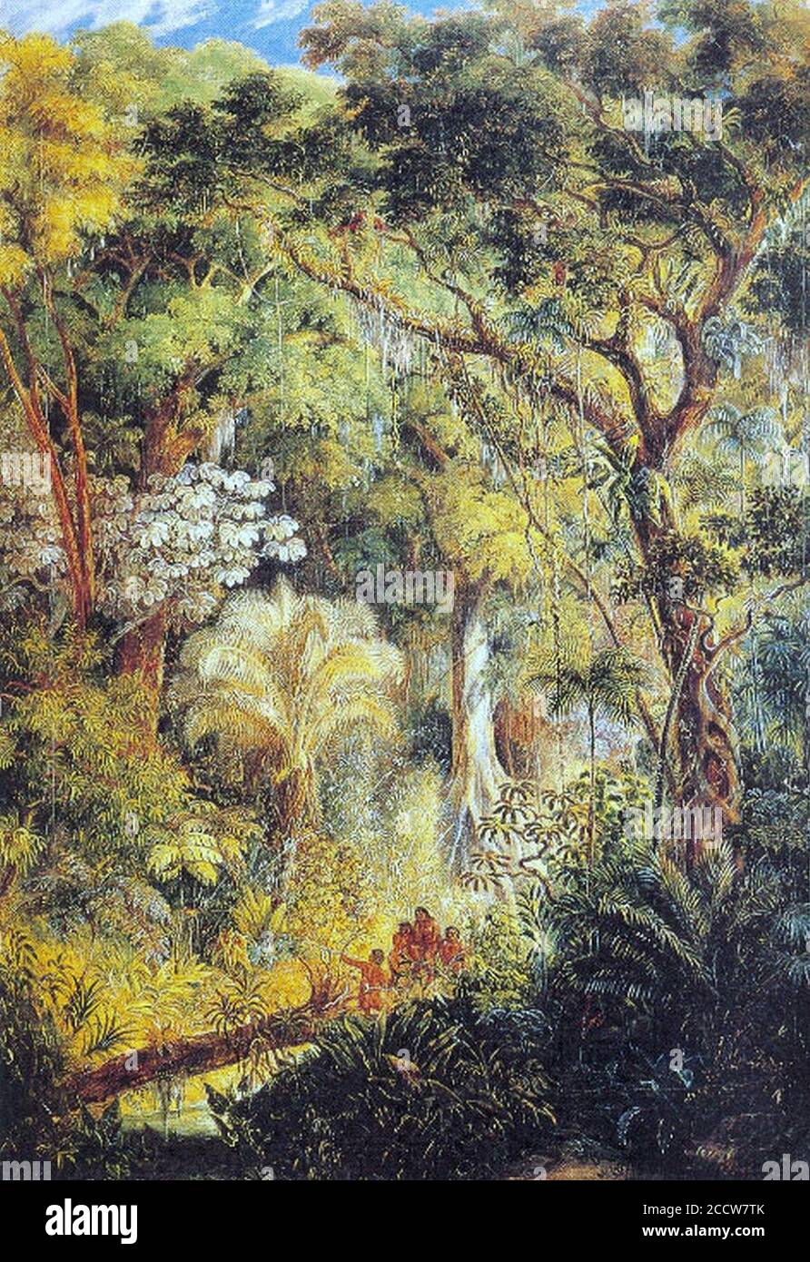 Johann Moritz Rugendas - Árvore gigantesca na selva tropical brasileira, 1830. Stock Photo