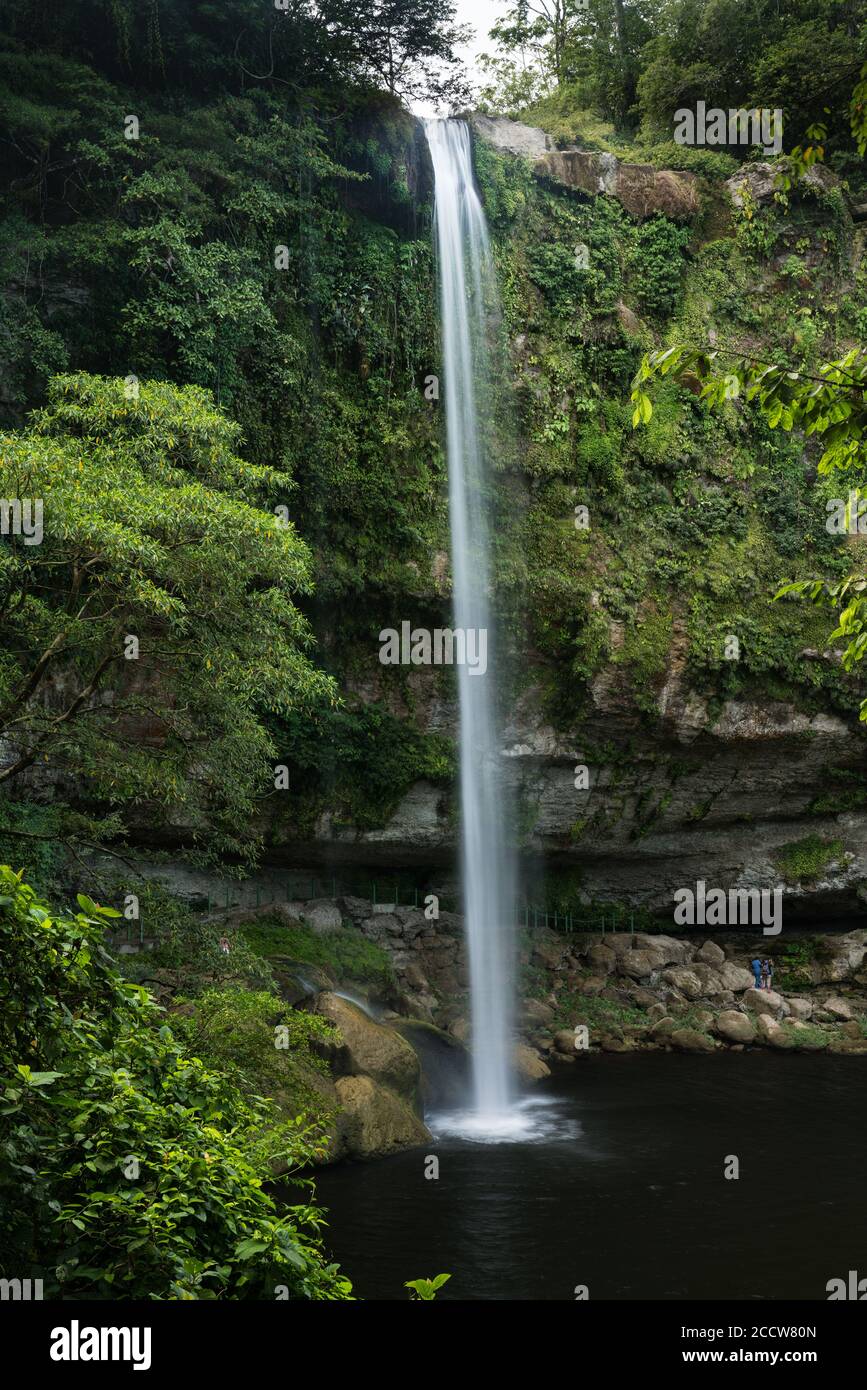 Tutor bord Transparant The Misol-Ha Waterfall in the highlands of Chiapas, Mexico falls 35 meters  or 115 feet into a pool below Stock Photo - Alamy
