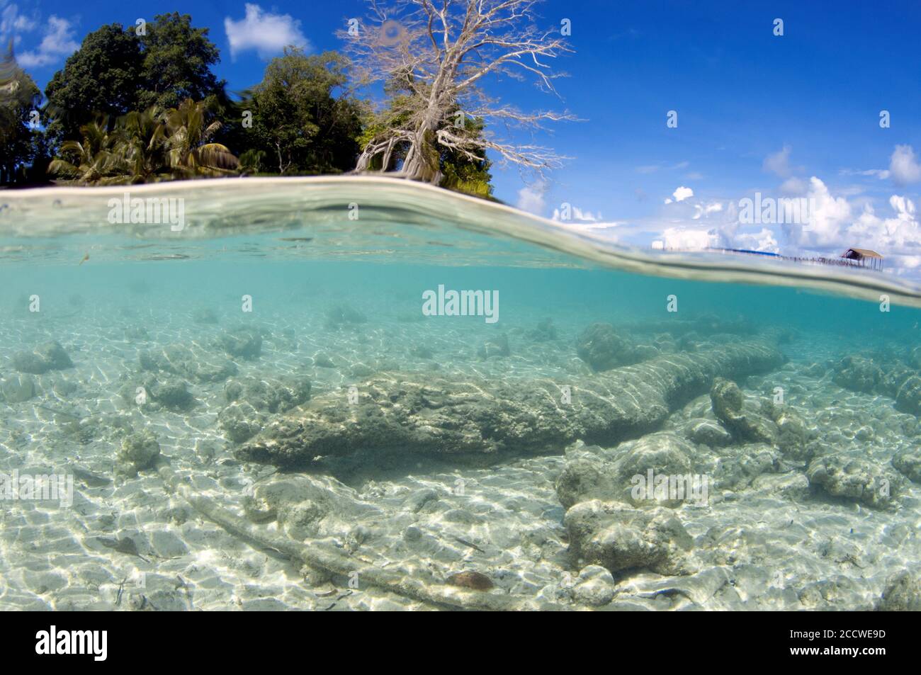 Split view of shallow area at a tropical beach, Sipadan Island, Malaysia Stock Photo