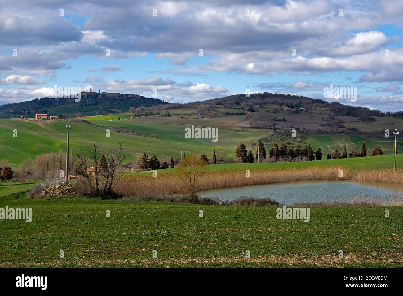 Small roads with mediterranean cypresses, farmhouses and green rolling hills, a typical landscape of Tuscany, Italy Stock Photo