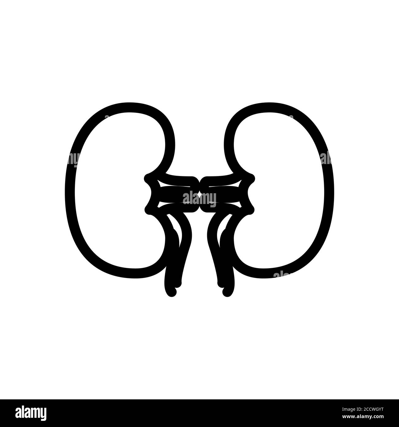 kidney symbol line icon, Vector Illustration Stock Vector