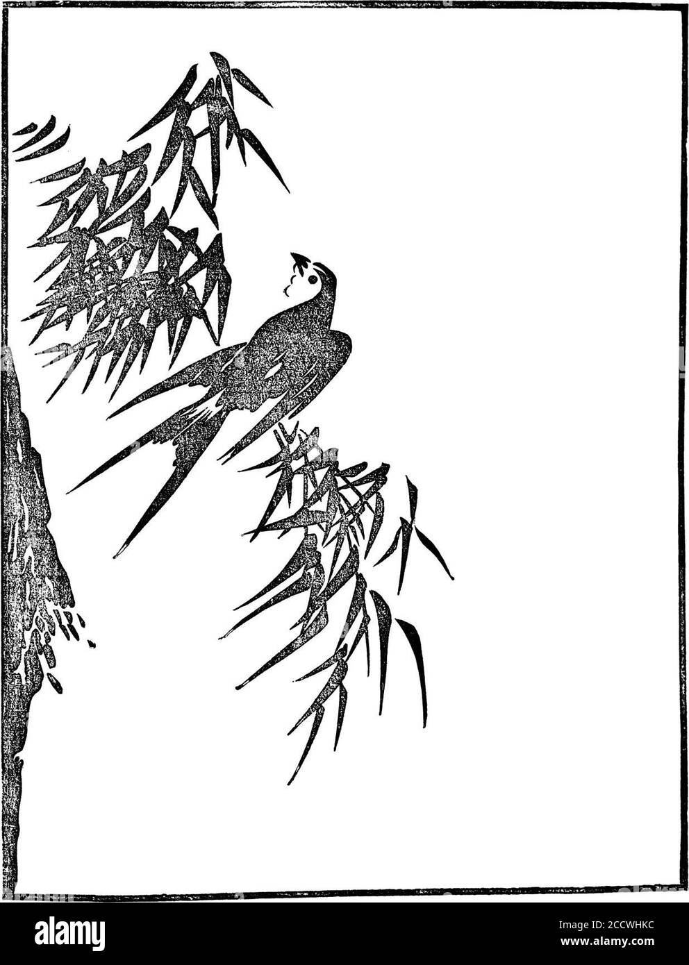 Japanese Wood Engravings1895053 Stock Photo Alamy