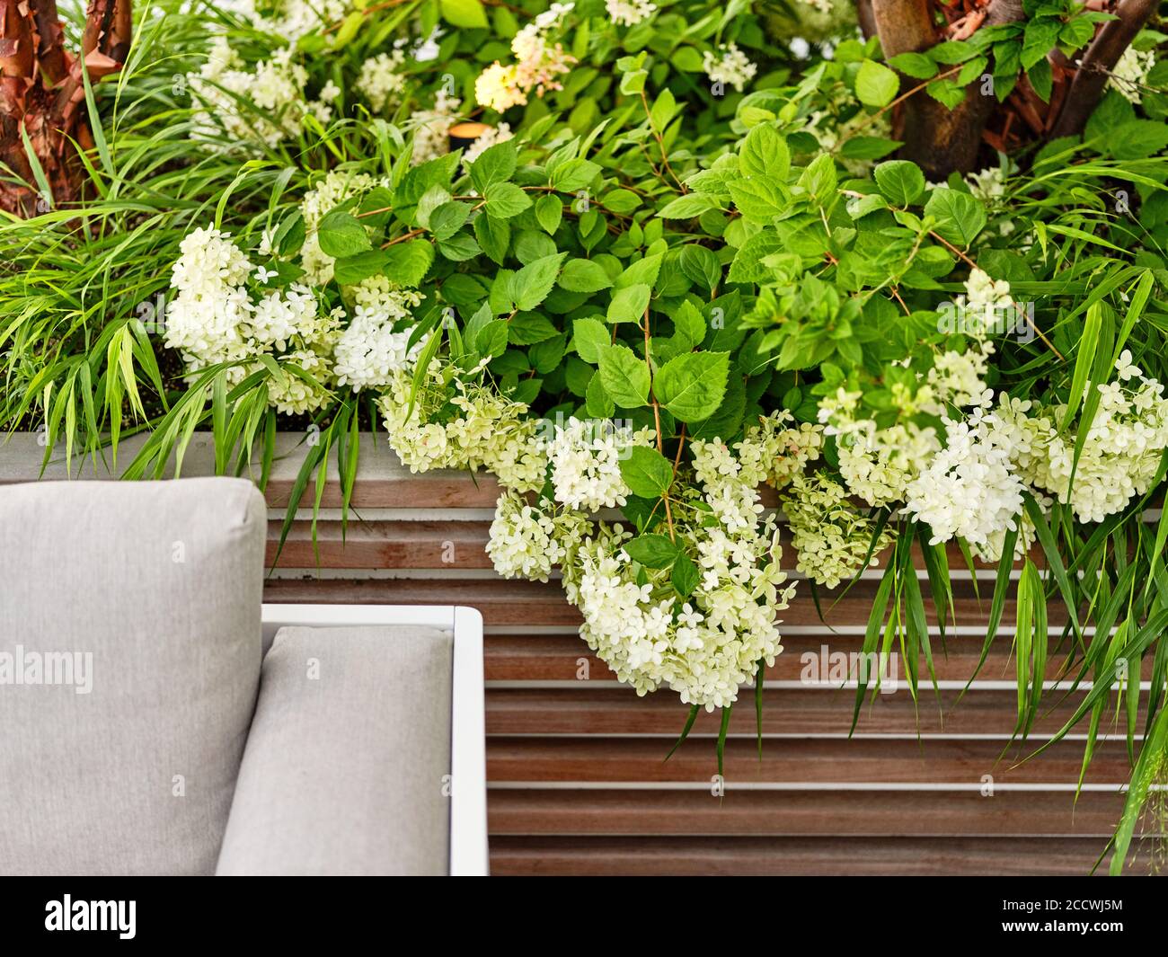 Landscaped roof terrace Stock Photo - Alamy