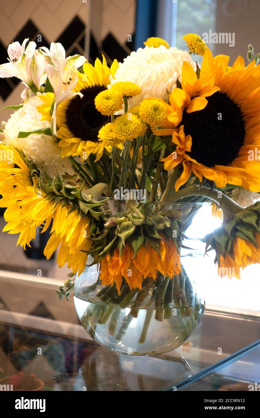 Close-up bouquet of a variety of flowers with large sunflowers arranged in a round clear glass vase. St Paul Minnesota MN USA Stock Photo