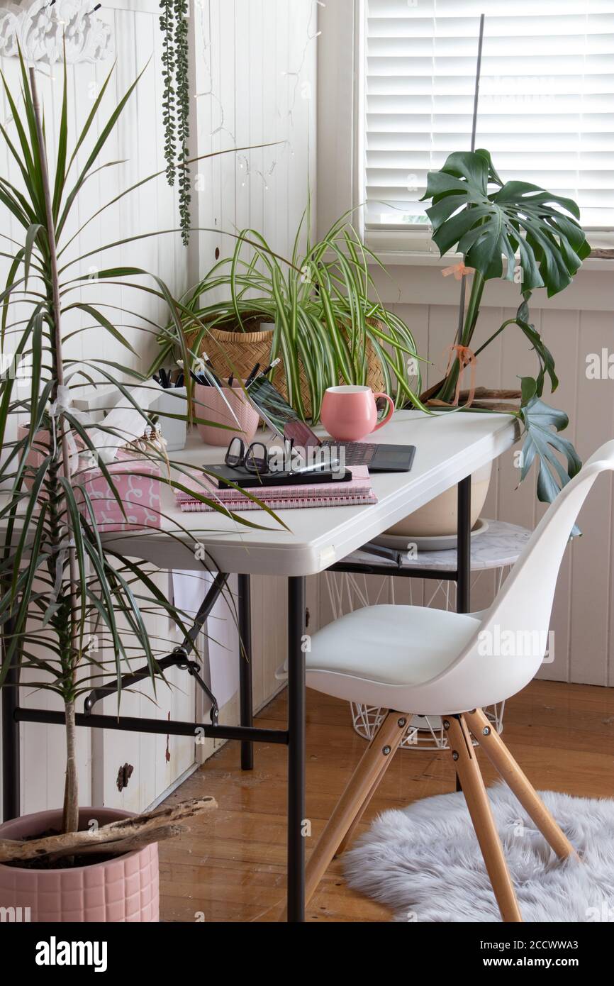 working from home desk office with pot plants Stock Photo