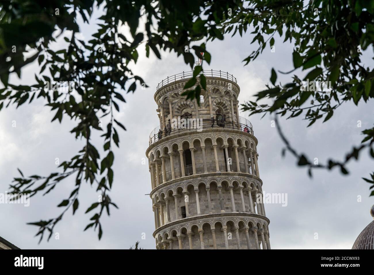 Leaning tower in Pisa, Tuscany, view on the top Stock Photo