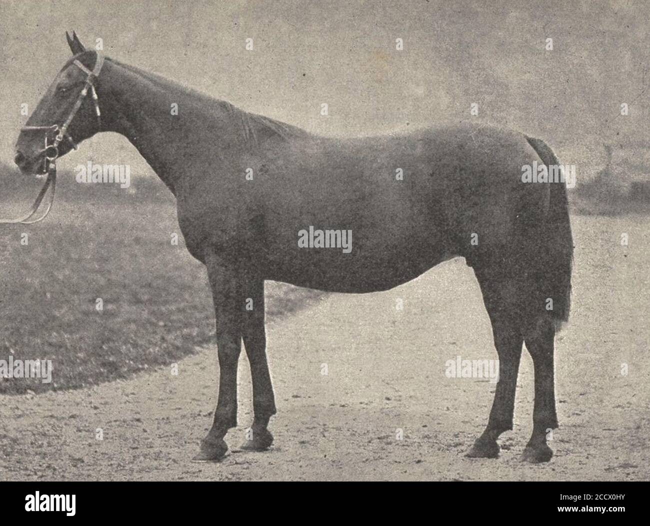 JeanDelton2-SportUniverselIllustre-1900-Hemine. Stock Photo