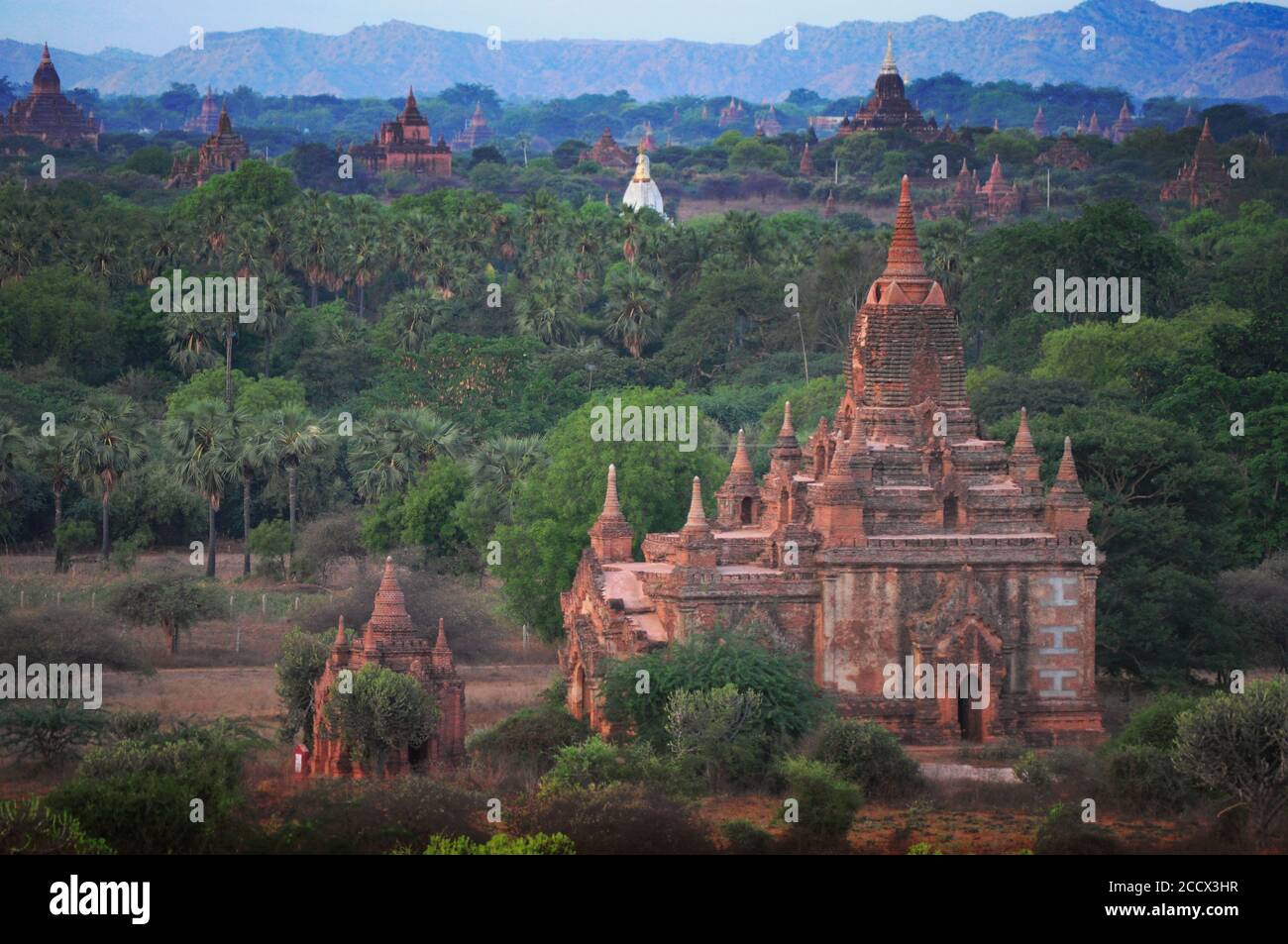 Old temples and Pagodas in Bagan Myanmar with lush trees Stock Photo