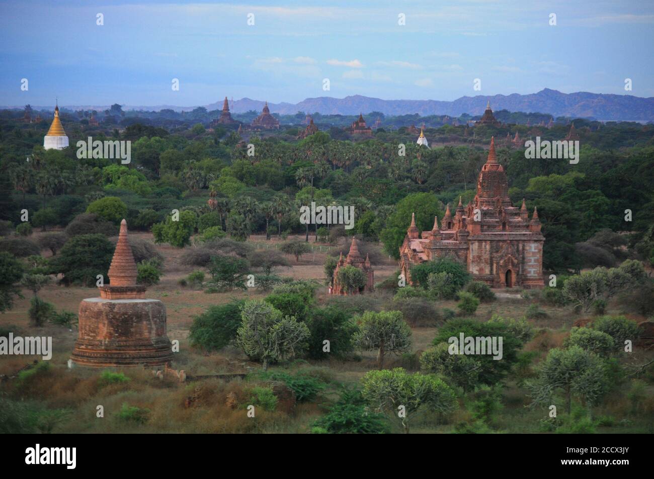 Old temples and pagodas in Bagan Myanmar with lush trees and greens Stock Photo