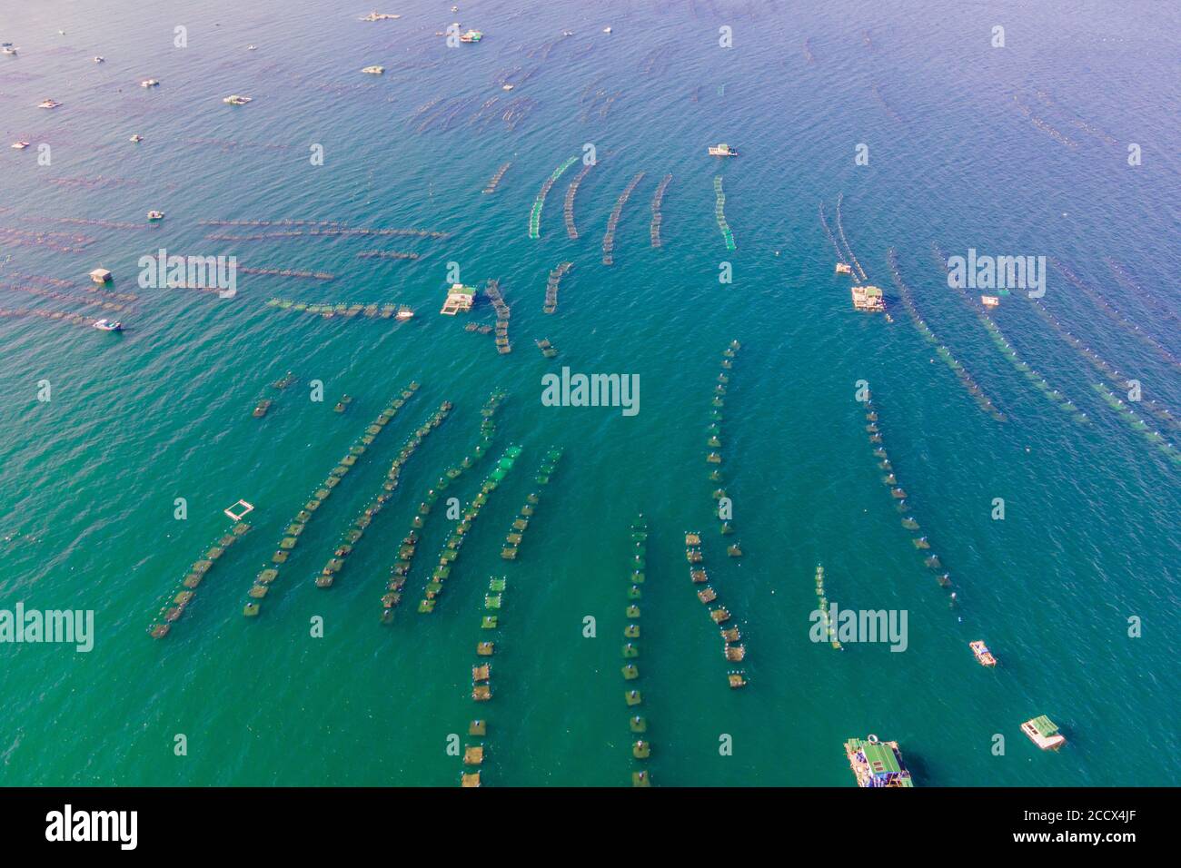 Lots of marine farms in a blue sea water. Sea farming concept Stock