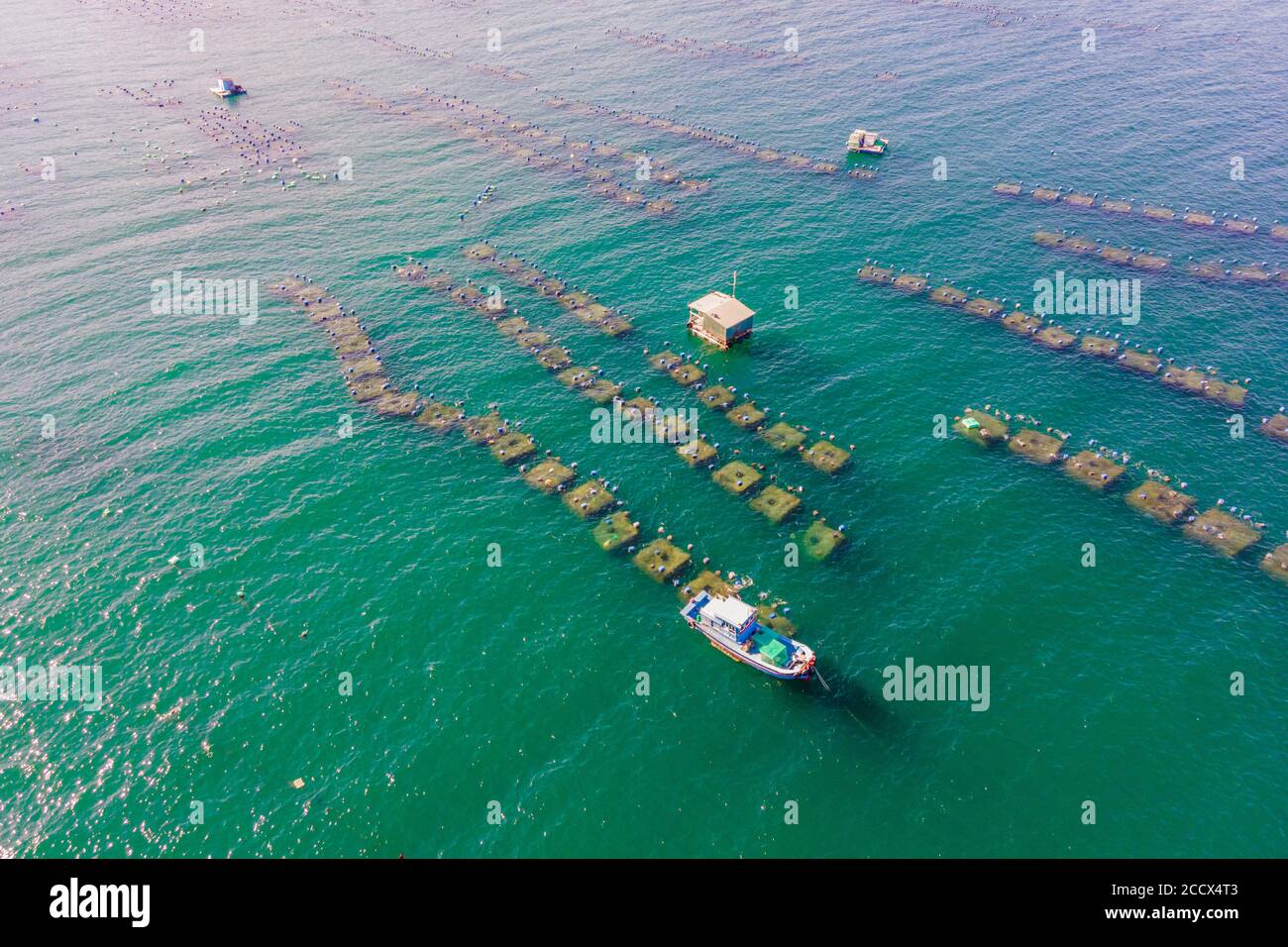 Lots of marine farms in a blue sea water. Sea farming concept Stock