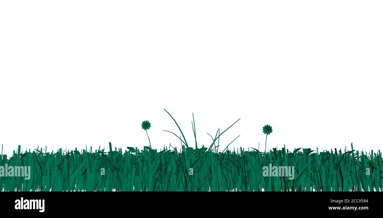 Green grass isolated on white background. Vector illustration Stock ...