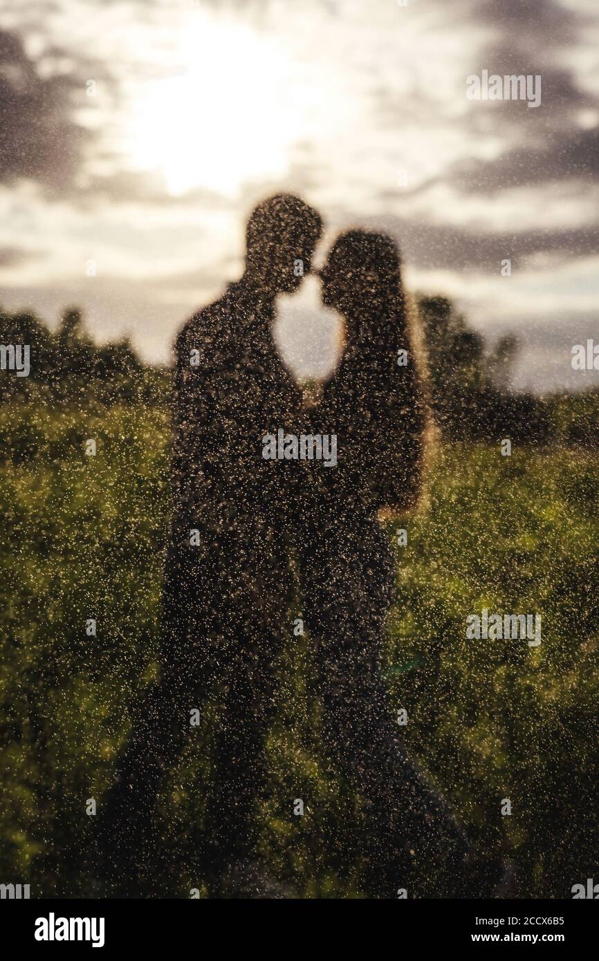 A couple in love in the field on beautiful sky background. Profile