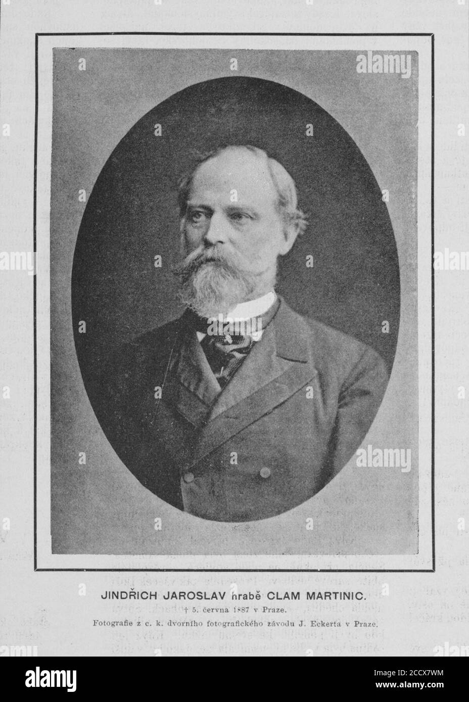 Clam martinic hires stock photography and images Alamy