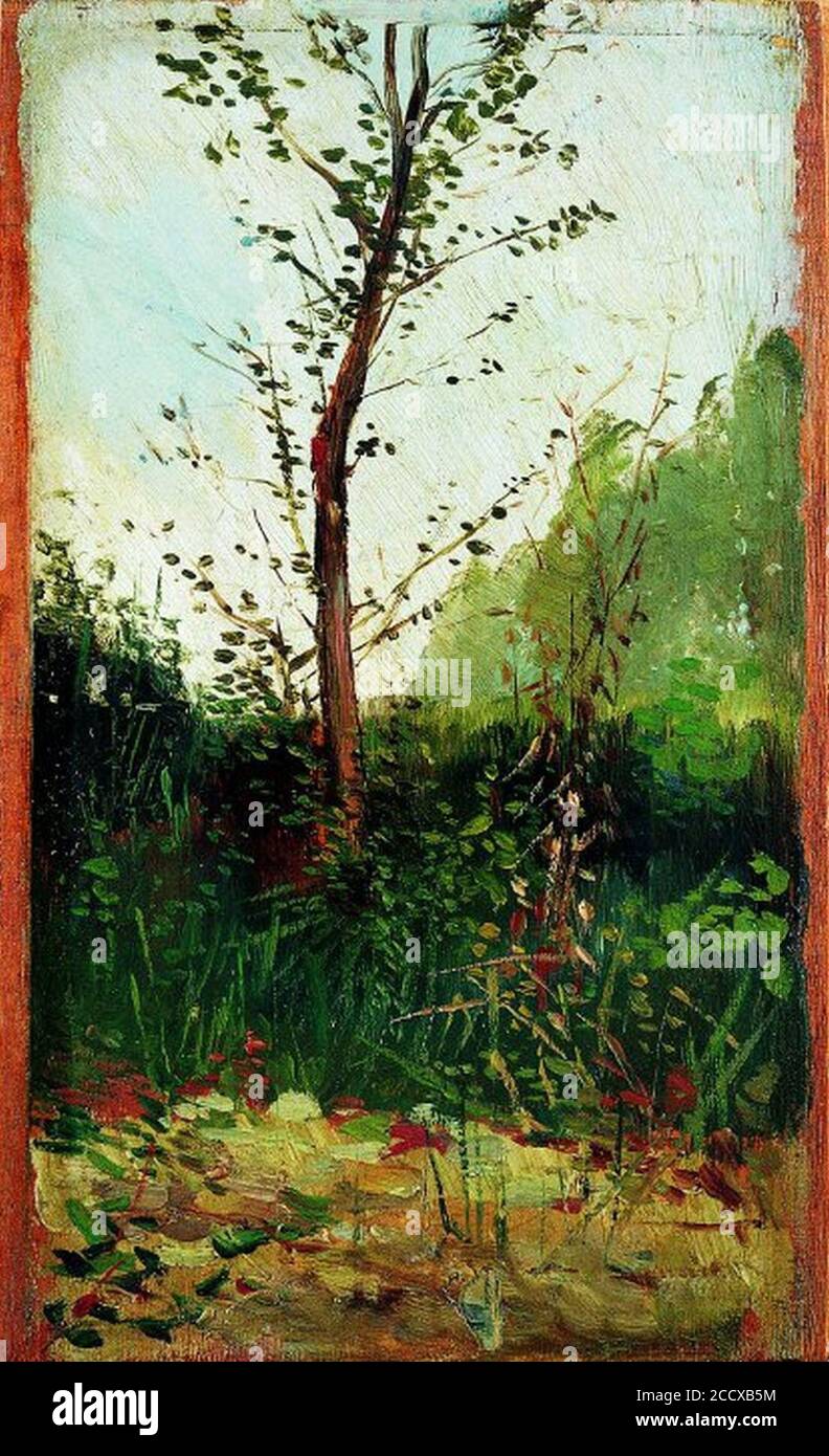D Arbre Hi Res Stock Photography And Images Alamy