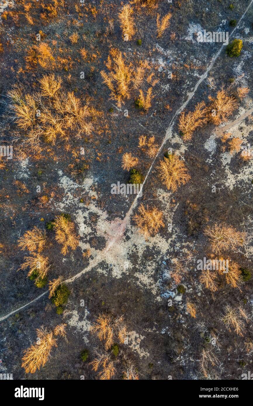 Gant, Hungary - Aerial horizontal drone view of abandoned bauxite mine with trees at sunset Stock Photo