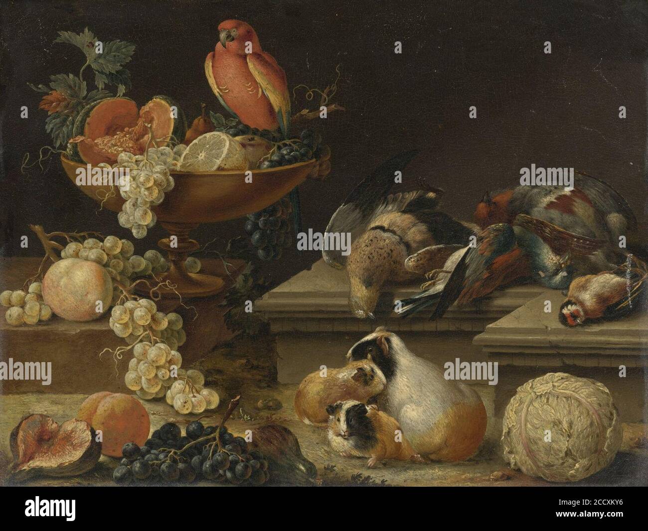 Johann Amandus Winck - Stilleben mit Papagei, Geflügel, Meerschweinchen und Obst. Stock Photo