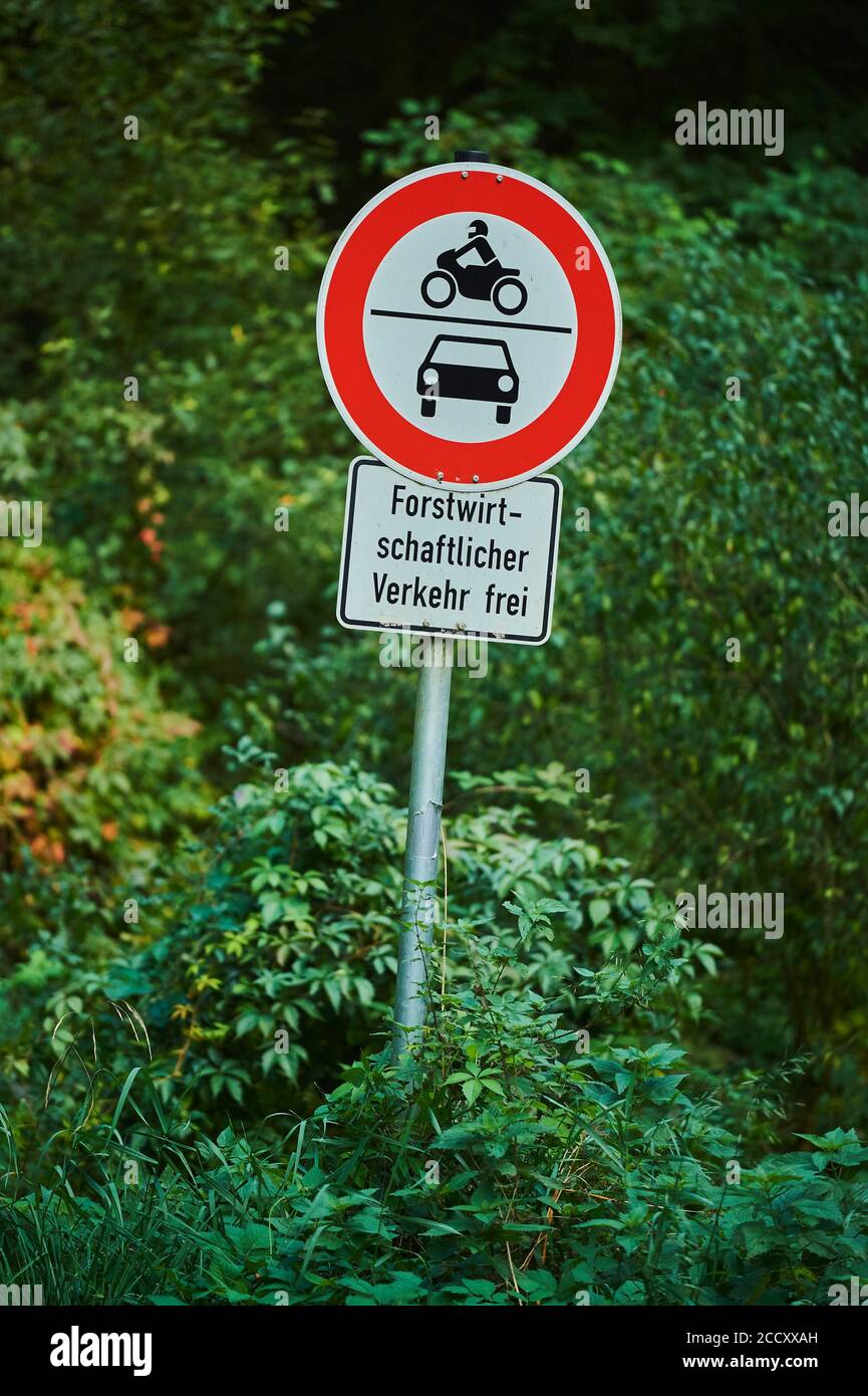 Prohibition sign No vehicles, forestry traffic free, signposting in a forest, Germany Stock Photo