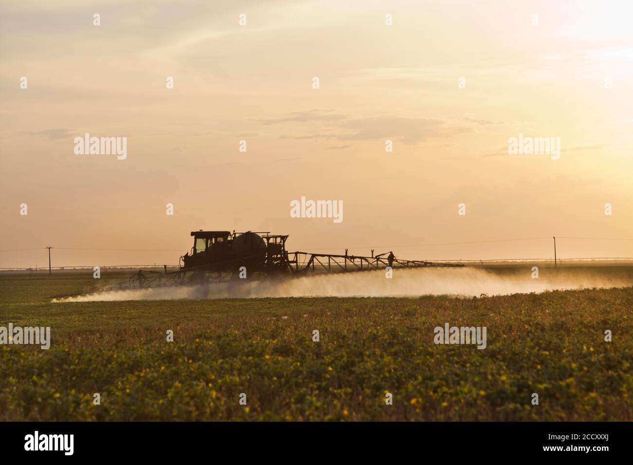 Tractor Sprays Pesticide on Cotton Fields near Luis Eduardo Magalhaes, Bahia, Brazil Stock Photo