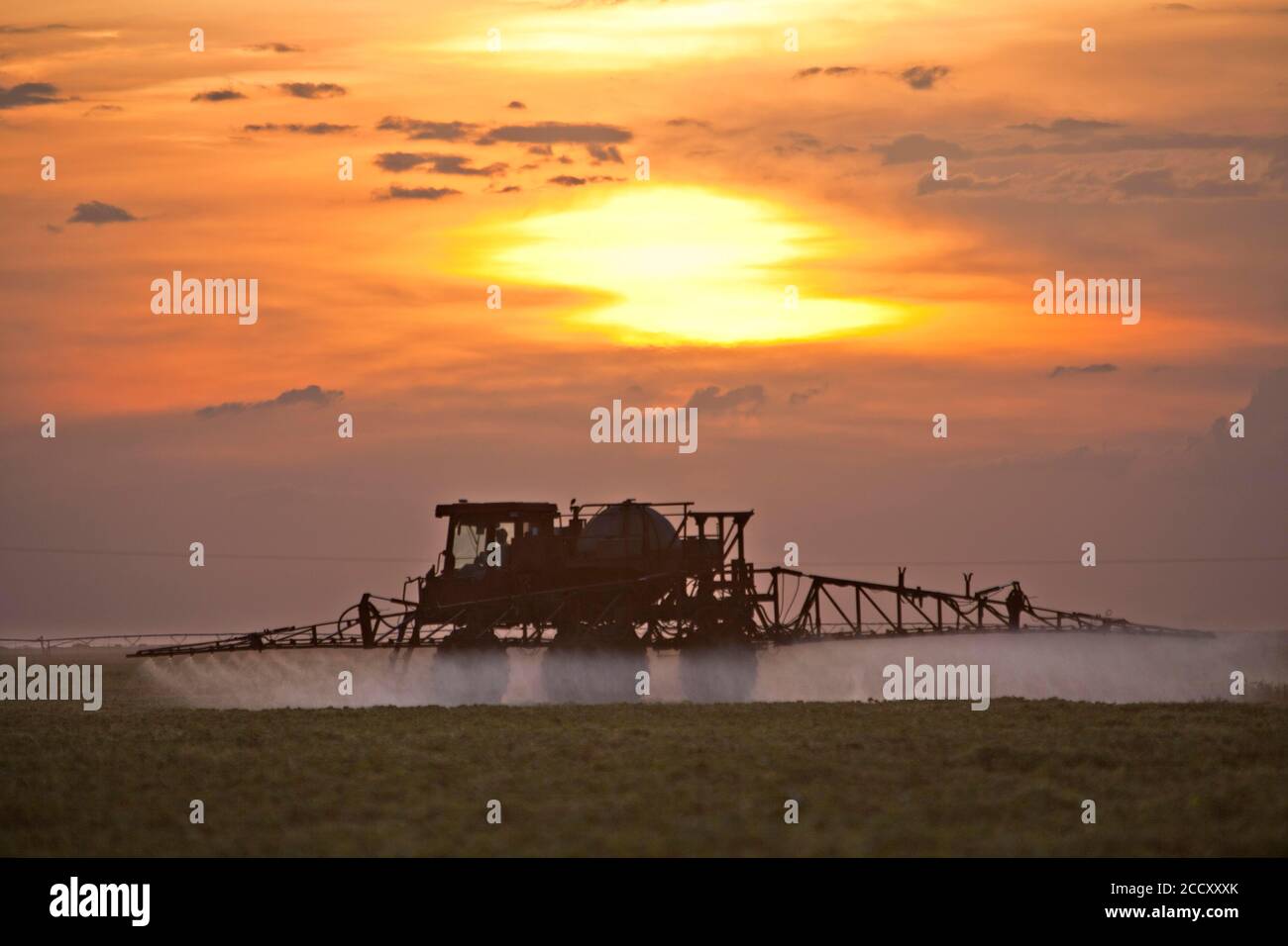 Tractor Sprays Pesticide on Cotton Fields near Luis Eduardo Magalhaes, Bahia, Brazil Stock Photo