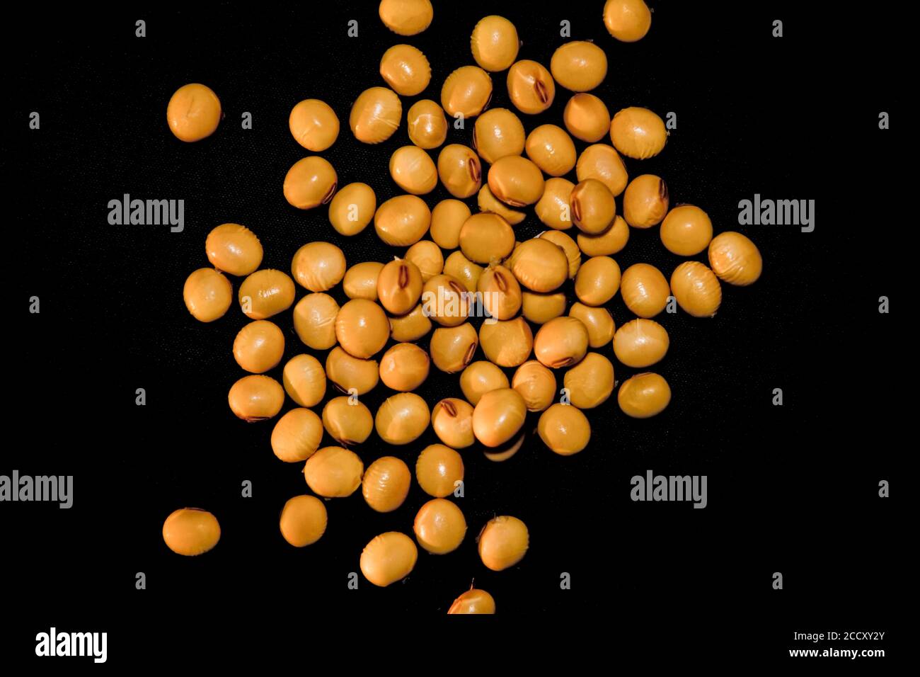 Soya Beans Just Harvested, Bahia, Brazil Stock Photo Alamy