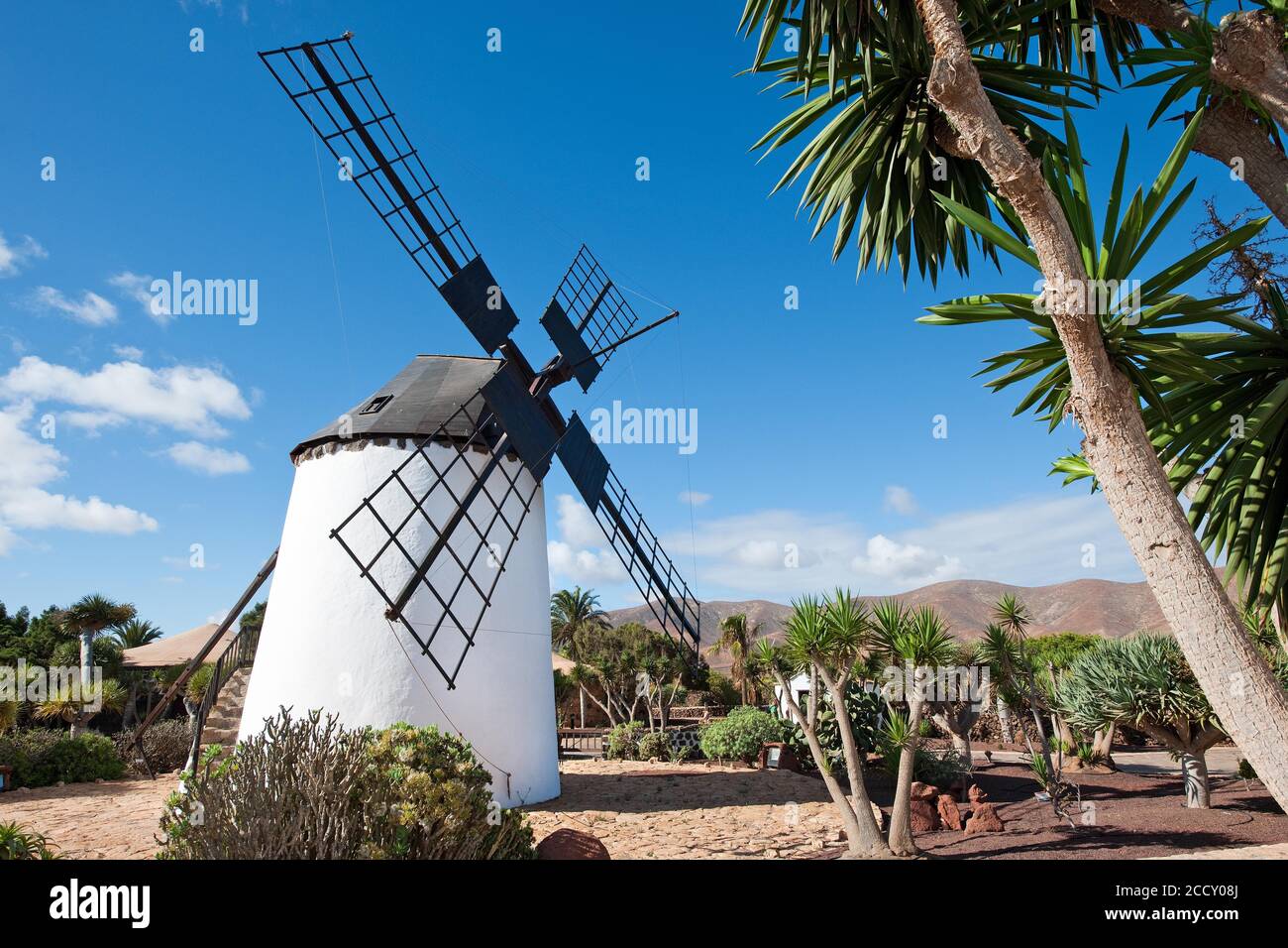 Windmill, Cheese Museum, Centro de Artesania Molino, Antigua, Fuerteventura, Canary Islands, Spain, Atlantic Stock Photo
